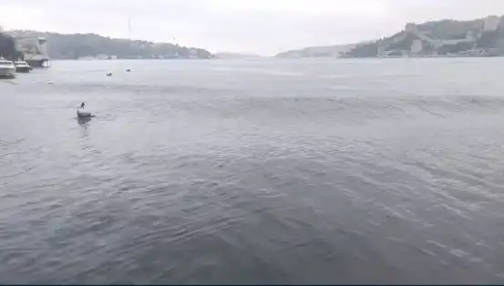 İstanbul'da Deprem Korkusu: 6,2 Büyüklüğünde Sarsıntı Yaşandı!