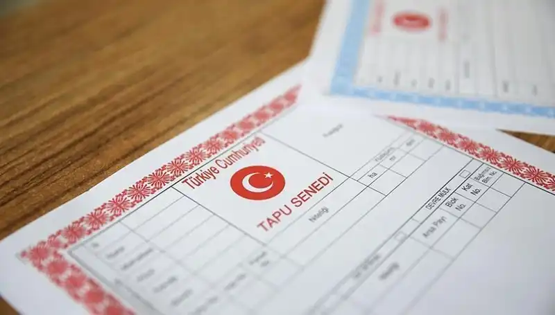 100 Milyonluk Hisseli Tapu Tuzağı: Gerçekler ve Olayın Detayları