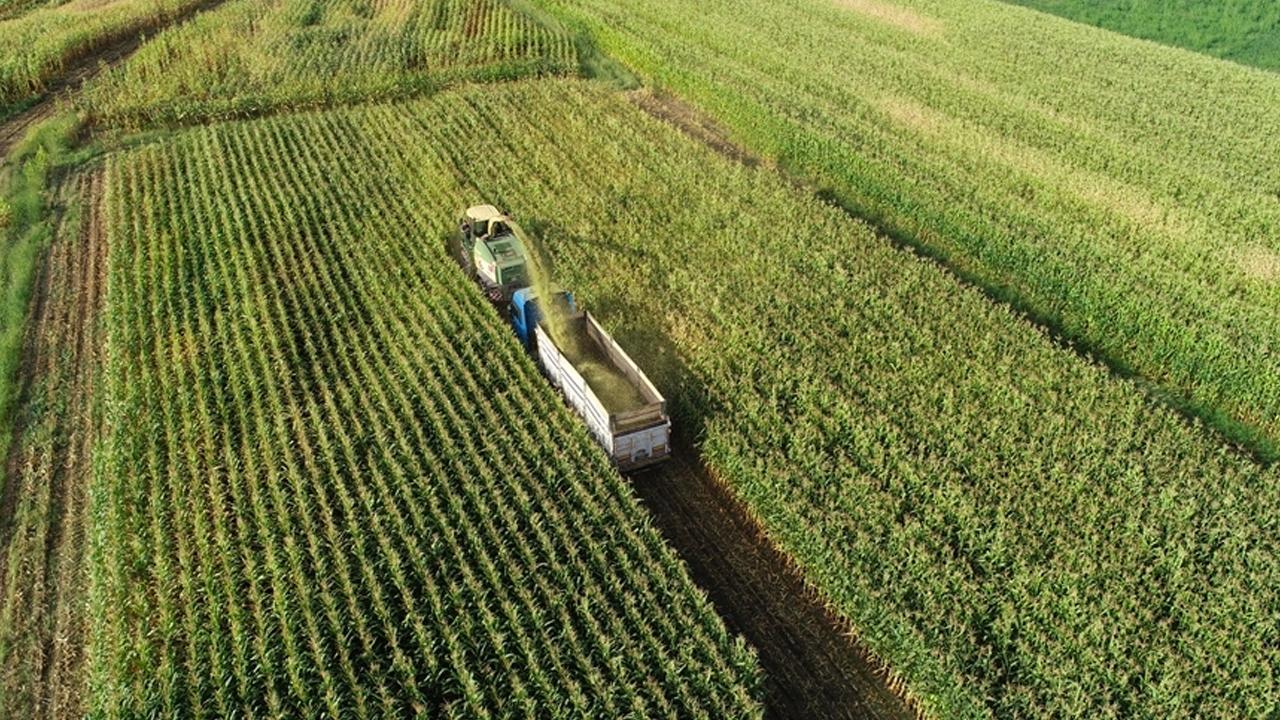 Üreticilere 2,3 Milyar Lira Destekleme Ödemesi Hakkında
