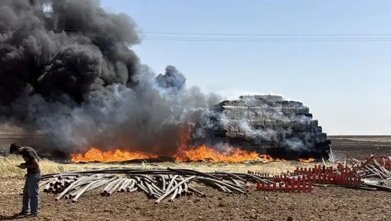 Mardin'de Şok Etkisi Yaratan Anız Yangını: Nedenleri ve Sonuçları