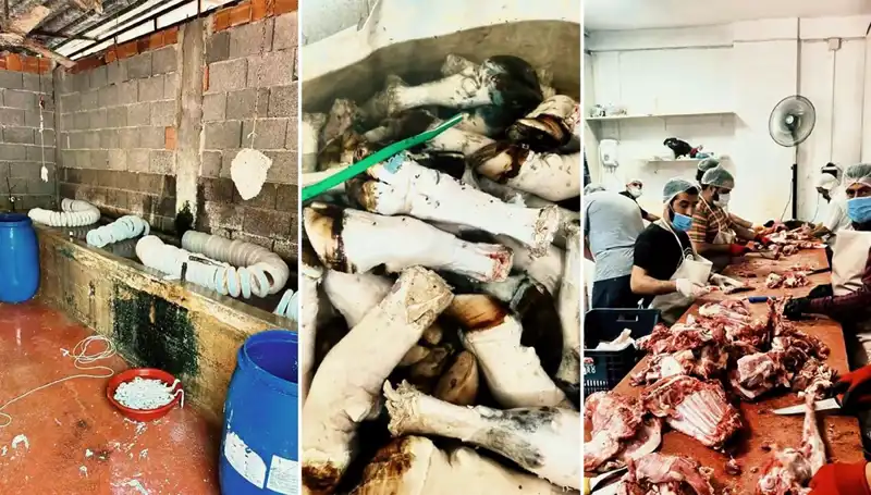 Adana'da Şok Eden Olay: Yüzlerce Kilo Paça İlgililerin Gündeminde