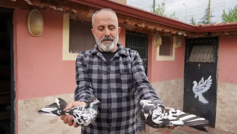 42 Yıllık Hobisi Profesyonel Tesise Dönüştü: İl Dışından Yoğun Talep