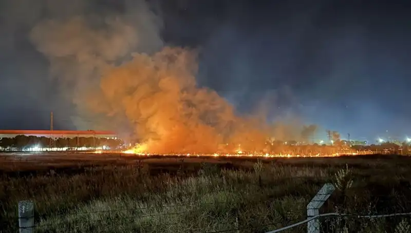 İzmir Gece Yarısı Alevlere Dört Elleriyle Koştu: Büyük Yangın Paniği!