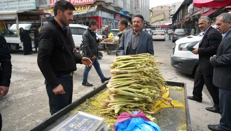 Doğanın Şifası: Dağlık Alanlardan Toplanan Şekerin Faydaları ve Kanserle Mücadeledeki Rolü