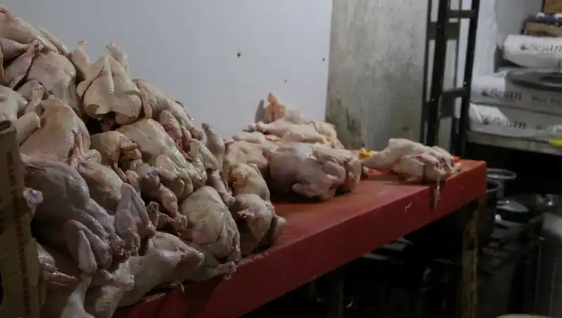 Döner İmalathanesindeki Şok Eden Görüntüler: Sağlık Riskleri Neler?