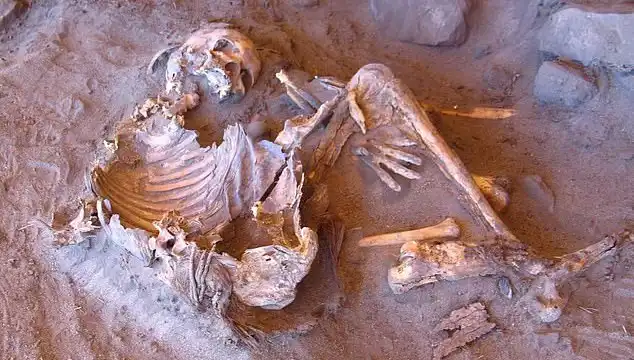 Yeni Bulunan Mumya, İnsan Soy Ağacını Yeniden Şekillendiriyor