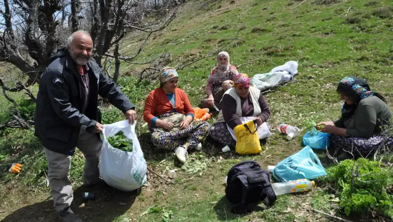 Yüzlerce Ailenin Hayatı Yürüyüşle Değişiyor: Kilosu 250 Lira Olan Bu Ürün Nedir?
