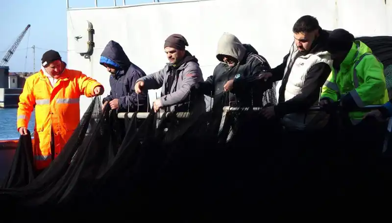 Hamsi İhtiyacı İçin Av Sezonu Kapanıyor: Balıkçılar Neden Erken Dönüyor?
