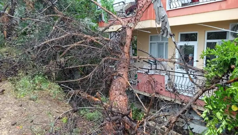 Aşırı Yağışlar Neden Oldu: Yıkılan Bina ve Kurtarma Çalışmaları
