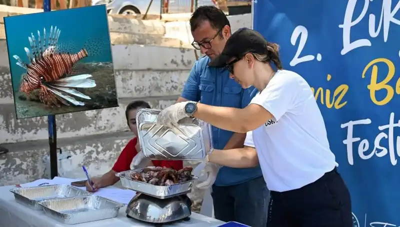 Antalya’da İstilacı Aslan Balığı Avlama Yarışması: Denizlerin Korunması İçin Bir Adım