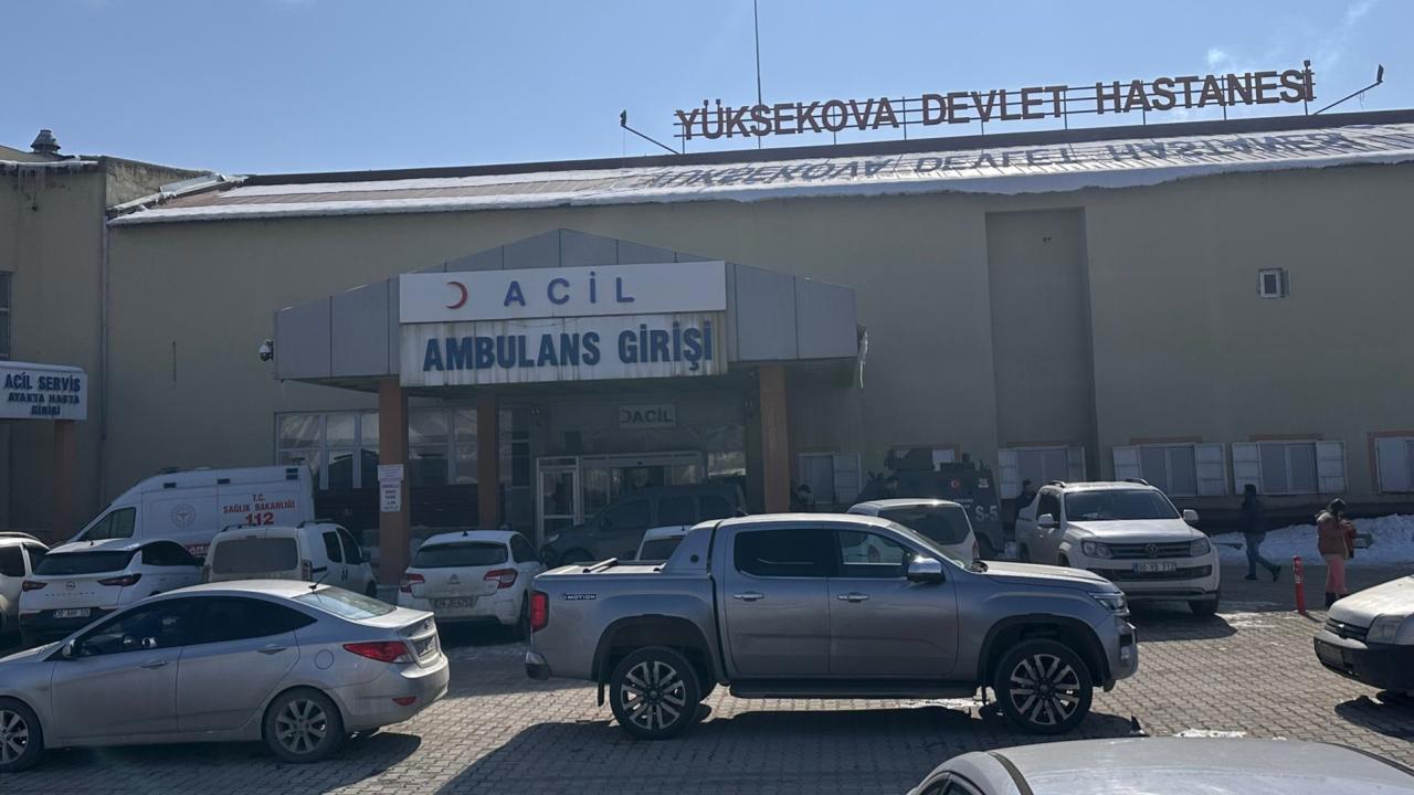 Hakkari'de Köpek Saldırısında Çocuk Öldü.