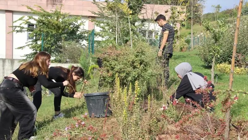 Düzce’nin Hayalini Gerçeğe Dönüştüren Girişimci: Dünyaya Açılan Kapı