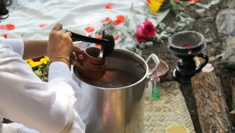 Ayahuasca: Şifanın ve Sırların İçilmiş İkilisi
