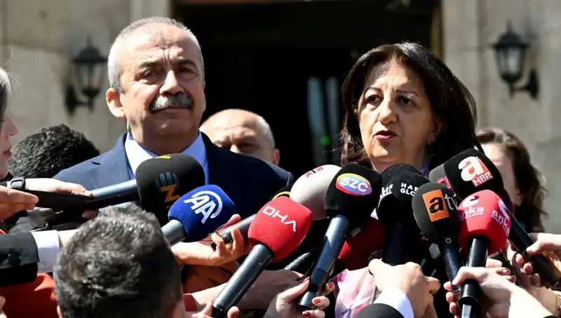 Sırrı Süreyya Önder: Sanatçı, Politika ve Sağlık Mücadelesi