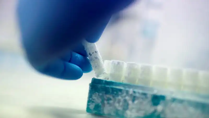 Tıbbi Felaket: 85 Sperm Donörüyle Binlerce Çocuğa Baba Olundu