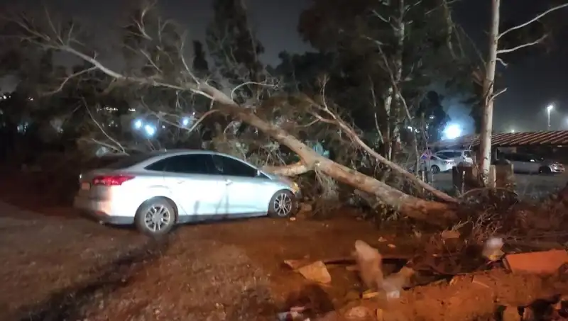 Hatay'da Şiddetli Fırtına: Tekne Alabora Oldu, Ağaçlar Devriye Girdi
