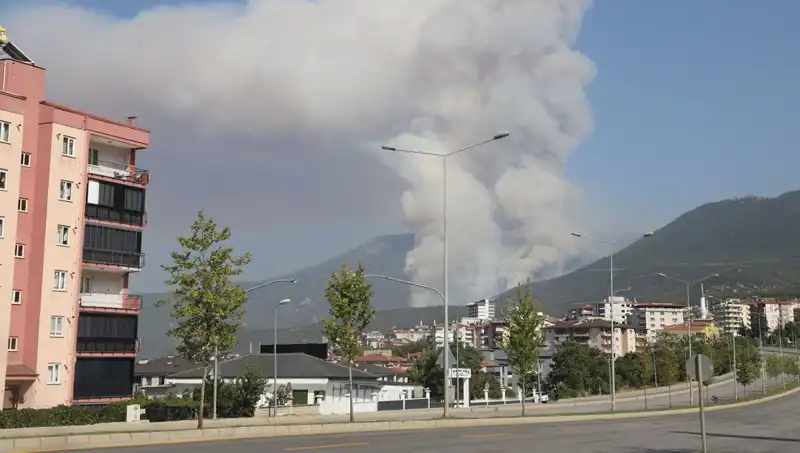 Denizli'de Orman Yangını: Bir Şüpheli Gözaltına Alındı, Yangının Sebebi Ne?