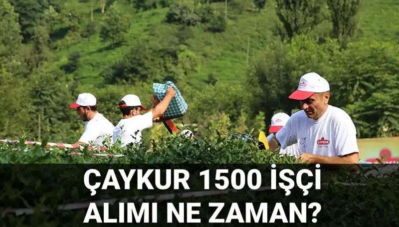 Çaykur İşçi Alımı Başvuru Tarihleri ve Süreçleri Açıklandı