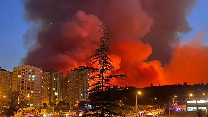 Bursa'da Yangınlar Kenti Sarmaladı: Hem Doğaya Hem İnsanlara Zarar Veriyor