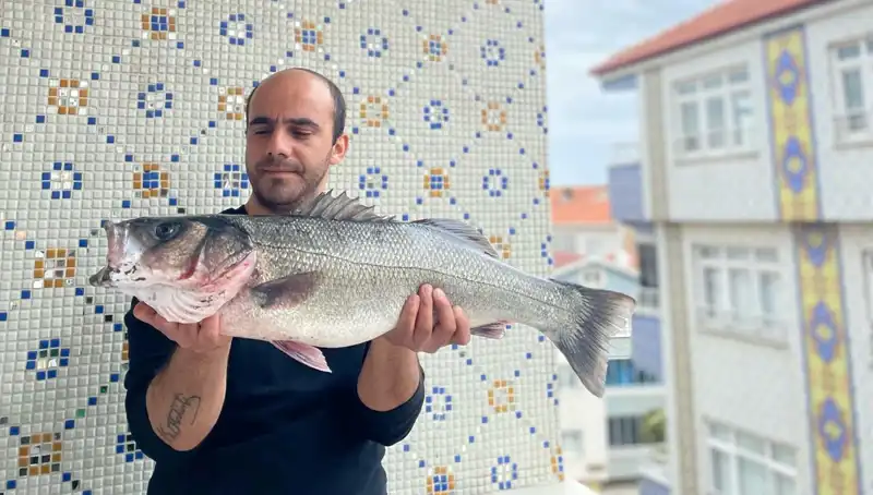 7,5 Kiloluk Dev Levrek: Balıkçının Hayalini Gerçekleştiren Efsane Av