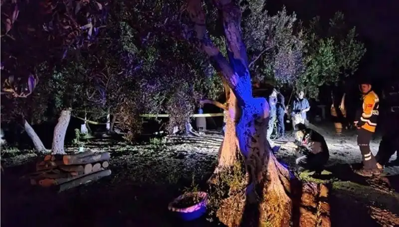 Çiftlikte Baltalı Vahşet: Bir Tutuklama ve Tüm Ayrıntılar